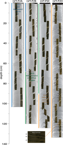 Figure 3. CT scans from the four percussion cores with overlapping thin sections along with the major units found in Linnévatnet sediments at mooring C: Unit A (blue), Unit B (green), and Unit C (orange). Horizontal arrows indicate the presence of distinct black (monosulfidic) laminae. (Bottom) Blowup of a thin section showing black laminae indicative of meromixis conditions.