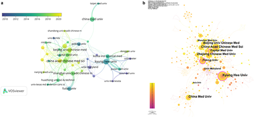 Figure 3 (a) Institutional collaboration network visualization map generated by VOS viewer. (b) Institutional collaboration network visualization map generated by CiteSpace.