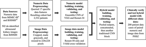 Figure 2. Procedure of the proposed research flow including five major steps: 1. dataset selection and access; 2. data preprocessing of two data formats; 3. single data type model development; 4. hybrid model development; and 5. clinical verification.