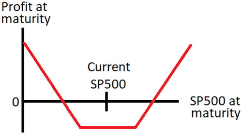 Figure 6. Profit diagram for an option strangle portfolio.
