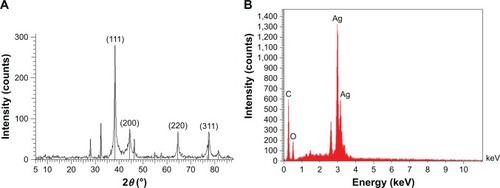 Figure 2 (A) X-ray powder diffraction spectrum of AgNPs. Peaks correspond to the face-centered cubic geometry of Ag crystal. (B) EDS spectrum of AgNPs. Presence of a sharp peak at 3 keV confirms the presence of silver nanoparticles.Abbreviations: AgNPs, silver nanoparticles; EDS, energy-dispersive X-ray spectroscopy.