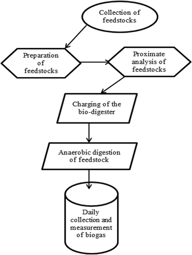 Figure 1. Set-up scheme for biogas production.