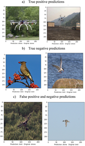 Figure 7. Samples from the predicted true and false responses.