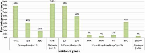 Figure 4. The prevalence of ARGs in confirmed E. coli O157:H7 isolated from agricultural soil samples. n = number of phenotypically resistant isolates screened for ARGs