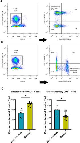 Figure 2 HBV-related samples display higher proportion of effector/memory CD8+ T cells by flow cytometry assay. (A) Examples of CD3, CD4 and CCR7 staining to determine effector/memory CD4+ T cells. (B) Examples of CD3, CD8 and CCR7 staining to determine effector/memory CD8+ T cells. (C) The average proportion of effector/memory CD4+ T cells and CD8+ T cells in HBV and control groups (*p<0.05, Mann–Whitney rank test).