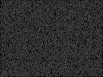 Figure 4. (200 × 200) pattern generated with (9 × 9) unique window and m = 2.