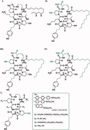 Figure 7. Completely synthetic caspofungin derivatives. The differences in the structure of new compounds relative to caspofungin are shown in green (II., III., IV. according toCitation25; I. according toCitation32; V. according toCitation33).