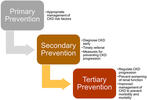 Figure 1 Primary, secondary, and tertiary prevention of CKD in LMICs. Data from Ameh et al.Citation15
