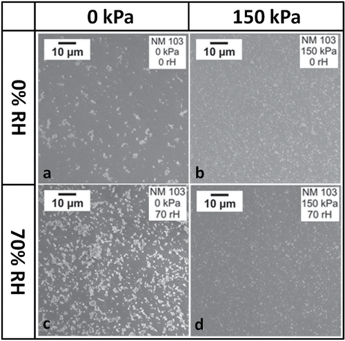 Figure 6. Scanning electron microscopy images to show particle morphology (NM-103).