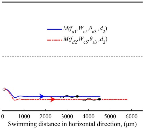 Figure 6. Sperm trajectories in focusing pattern.