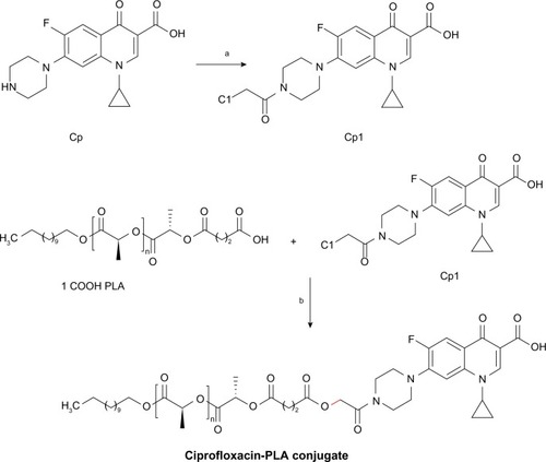 Figure 4 Synthesis of ciprofloxacin derivative and conjugation with end functional PLA a) TEA, ClCH2COCl, CH2Cl2, 0°C– room temperature; b) K2CO3, DMF, 100°C.Abbreviations: Cp, ciprofloxacin; Cp1, 7-(4-(2-chloroacetyl) piperazin-1-yl)-1-cyclopropyl-6-fluoro-1, 4-dihydro-4-oxoquinoline-3-carboxylic acid; COOH-PLA, carboxyl-terminated PLA; DMF, N,N-dimethylformamide; PLA, polylactide; TEA, triethylamine.