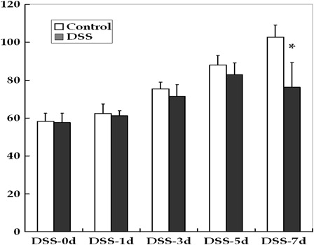 Figure 1. Changes in the body weights of young rats in the control and DSS-induced colitis groups. DSS treatment caused growth failure at the end of the study period (*P < 0.01).