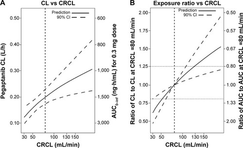 Figure 3 (A) Influence of creatinine clearance (CRCL) on the predicted pegaptanib exposure for a typical individual. The predictions are based on the final model, with η set to 0 for a typical individual. (B) The ratio of clearance (CL) for a 0.3 mg dose to the CL predicted for a patient with a CRCL of 80 mL/min. The ratio of area under the concentration–time curve (AUC) for a 0.3 mg dose to the AUC predicted for a patient with a CRCL of 80 mL/min is also shown. The 90% confidence intervals (CIs) are displayed as dashed lines in both panels. These were computed by sampling parameter estimates from a multivariate normal distribution (n=10,000) with a covariance matrix equal to the covariance matrix of the estimates from the full working model to avoid overly narrow CI ranges.