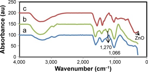 Figure 1 FTIR spectra of (a) hyaluronan, (b) Sargassum muticum, and (c) HA/ZnO nanocomposite.
