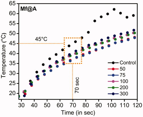 Figure 18. Plot showing increment of temperature as a function of time with the increased concentration of Mf@A. Mf@A: MnFe2O4@Au nanoparticles.