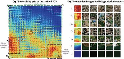 Figure 6. (a) The resulting grid of the trained SOM with similar nodes being close to each other. Here the red area corresponds to the highly urbanized image blocks, while the blue areas represent the sub-urban areas that have fewer buildings. The green box, purple box, and the aqua green boxes correspond to nodes that represent sub-urban areas, highly urbanized areas, and urban areas with low building density. (b) The decoded images of seven representative nodes and their image block members. A and B represent highly urbanized areas. C, D, and E represent urban areas with low building density. F and G represent waterfront areas..