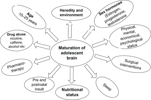 Figure 1 Factors influencing adolescent brain maturation.