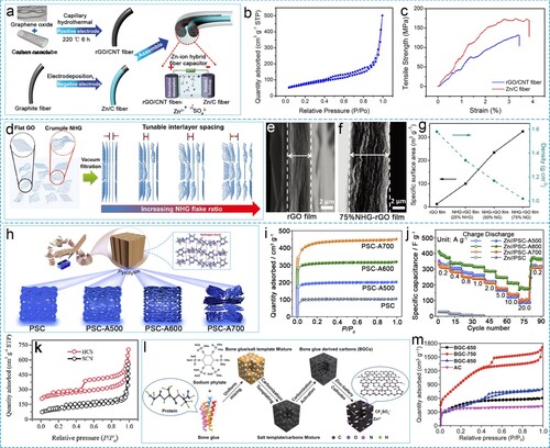 Figure 7. (a) Schematic illustration of the synthesis of rGO/CNT hybrid fiber and Zn-coated graphite fiber for assembling a Zn-ion hybrid fiber capacitor. (b) N2 adsorption-desorption isotherm of rGO/CNT hybrid fiber. (c) The stress-strain curves of rGO/CNT fiber and Zn-coated/graphite fiber. Reproduced with permission. Copyright 2019, Wiley-VCH [Citation155]. (d) Schematic of the preparation of NHG-GO films from GO and NHG solutions with a tunable ratio of NHG to GO. (e) Cross-sectional SEM images of (f) rGO and 75%NHG-rGO films. (g) Tradeoff relationship between SSA and density of rGO and NHG-rGO films. Reproduced with permission. Copyright 2022, Wiley-VCH [Citation75]. (h) Schematic preparation, (i) N2 adsorption/desorption isotherms and (j) rate capability of PSC and PSC-Ax. Reproduced with permission. Copyright 2020, Elsevier [Citation127]. (k) N2 adsorption and desorption isotherms of HCS and SCN. Reproduced with permission. Copyright 2019, Royal Society of Chemistry [Citation79]. (l) The schematic illustrating the preparation procedure of the BGCs. (m) N2 adsorption and desorption isotherms of BGCs. Reproduced with permission. Copyright 2022 Springer Nature [Citation107].