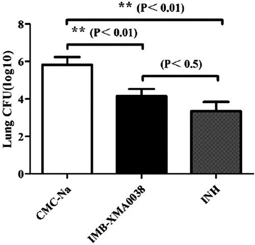 Figure 5. The activity of IMB-XMA0038 in BALB/C mice. INH and IMB-XMA0038 were both administered at 25 mg/kg respectively for 15 days, and the vehicle CMC-Na was used as negative control. **statistically significant difference from the negative control (p<.01) (n = 3).
