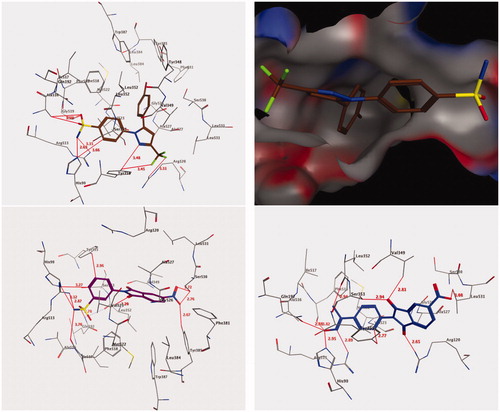 Figure 2. 3D interactions of compounds SC-558 ligand (upper panel), 9 (lower left panel), and 18 (lower right panel) with the active site of COX-2. Hydrogen bonds are depicted as red lines.