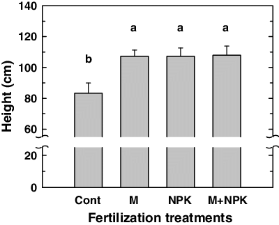 Figure 1. Height growth of Liriodenron tulipifera after treatments of manure compost and NPK fertilizer. Means with the same letter are not significantly different among treatments at α = 0.05. Vertical bars represent one standard error of the mean (n = 4).
