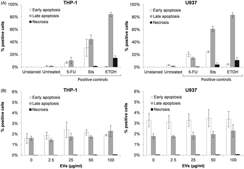 Figure 2. Assessment of EV effects on apoptosis and necrosis in THP-1 and U937 cells. Apoptosis and necrosis of untreated or 24 h-treated cells was evaluated by flow cytometry based on the detection of exposed phosphatidylserine (PS) and DNA labeling with the viability stain 7-AAD. (A) Induction of early apoptosis (white bar), late apoptosis (grey bar) and necrosis (black bar) in THP-1 and U937 cells by 5-fluorouracil (5-FU), staurosporine (Sts) and ethanol (ETOH) compared to untreated cells. (B) Detection of early apoptosis, late apoptosis and necrosis in cells exposed to different concentrations of EV compared to untreated cells. Error bars show SEM. Data representative of at least three experiments.
