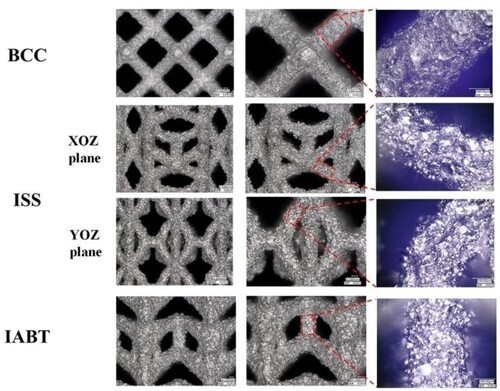 Figure 4. Digital microscope images of printed Ta lattice structures. Surface topography of BCC, ISS, and IABT printed Ta lattice structures under100, 150, and 500 magnifications of the digital microscope.