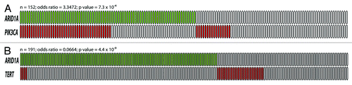 Figure 2. The relationship between ARID1A mutation and PIK3CA mutation (A), and between ARID1A mutation and TERT promoter mutation (B). Green boxes are tumors harboring somatic ARID1A mutations while red boxes are tumors with either PIK3CA mutation or TERT promoter mutation. Each box represents an individual tumor. The total number of tumors, the odds ratio (OR) and P values are shown above each diagram.