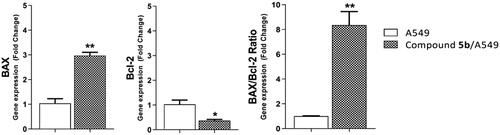 Figure 6. Gene expression analysis of BAX and Bcl-2 the expression levels after treatment of A549 with compound 5b for 72h.