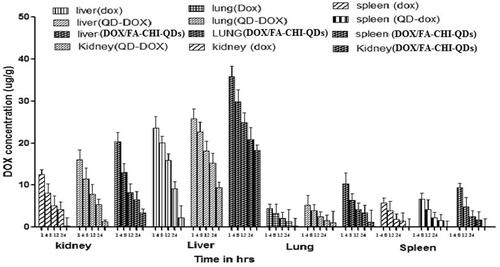 Figure 8. Tissue-organ biodistribution study for DOX, DOX-QDs and DOX/FA-CHI-QDs different formulation.