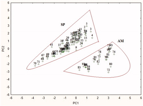 Figure 1. Chemotaxonomic classification of ascidian using mass spectral variables. Species SP: Styela plicata; AM: Ascidia mentula.