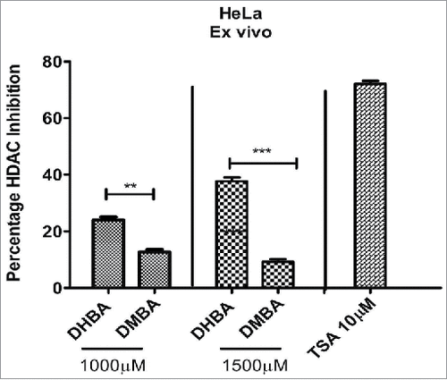 Figure 2a. DHBA identified as a potent inhibitor in the docking studies, and DMBA – methoxylated version of DHBA were incubated with HDAC enzyme (isolated from HeLa cells) for 20 minutes and the percentage inhibition determined. In vitro data showed better inhibition of HDAC compared with methoxylated version.