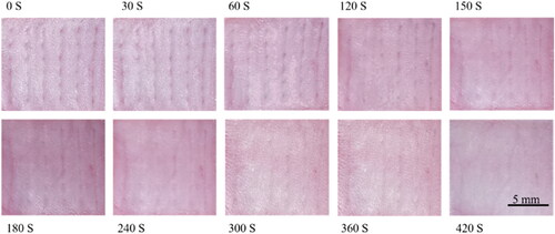 Figure 14. The image of DMNs puncturing skin wound healing.