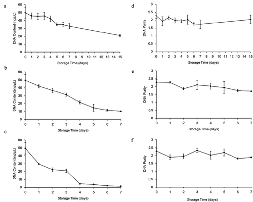 Figure 3. Changes in the DNA content (a-c) and purity (d-f) obtained from milk during storage at 2°C (a and d), 10°C (b and e) and 20°C (c and f), respectively.Figura 3. Cambios en el contenido de ADN (a-c) y su pureza (d-f) obtenido de la leche durante su almacenamiento a temperaturas de 2°C (a y d), 10°C (b y e) y 20°C (c y f), respectivamente.