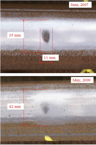Figure 18. Validation of the critical size. A defect of original length 11 mm or so grew.