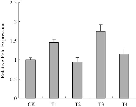 Figure 1. GS2 expression changes of stems with different cadmium treatments. Cd stress (T2) inhibited the expression of GS2, and the combination of Cd and nitrogen, such as Cd(NO3)2 or CdCl2 plus (NH4)2CO3 up-regulated GS2 expression. Therefore, nitrogen significantly promoted gene expression in poplar plants under Cd stress and can effectively alleviate cadmium toxicity to poplar plants.Note: CK indicates control. T1, T2, T3 and T4 indicate Cd(NO3)2, only CdCl2, CdCl2 plus (NH4)2CO3, only (NH4)2CO3 treatments respectively.