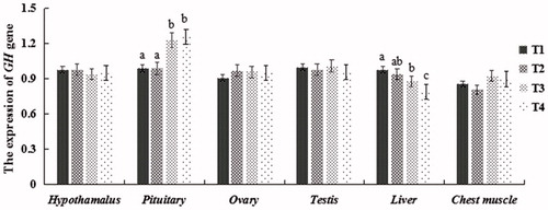 Figure 2. Relative (2-ΔΔCT) of expression levels of GH in tissues of squabs supplemented with dietary SS.