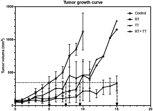 Figure 1. Tumour growth curves after various treatments. Combined therapy (RT + TT) has resulted in longer tumour growth delay (∼10 days) than the radiotherapy (RT, ∼4.5 days) or the GdIONP-mediated thermotherapy (TT, ∼2.5 days) only. TRAMP-C1 cells (1 × 106) were injected intramuscularly into the tights of male C57BL/6 J mice. Mice with a palpable tumour of approximately 60 mm3 in volume were randomly separated into four groups (n  = 5) and were given two times intratumour injections of GdIONP or saline before thermotherapy. Mice were anaesthetised before treatments. For the control and RT group, 0.05 ml saline alone was injected. For TT and RT + TT group, 1 mg GdIONP prepared in 0.05 ml saline was injected. TT group were subjected to induction heating at 52 kHz and 246 Oe. In the end of each experiment, mice were sacrificed and the tumours were excised and weighed.