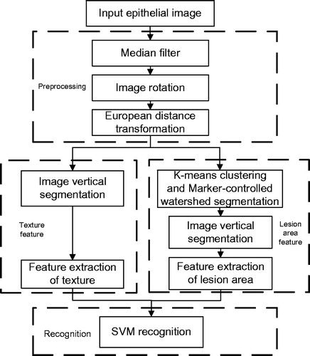 Figure 1. Overview of the whole image approach and calculation.