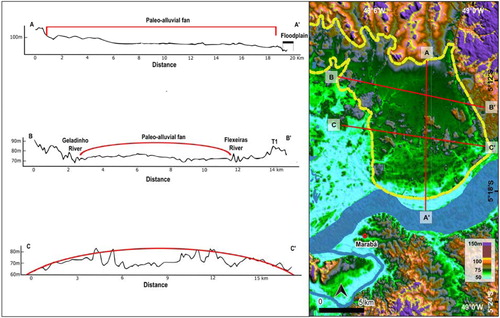 Figure 9. Geomorphic features of the paleo-alluvial fan unit. Longitudinal and transversal topographic profiles showing upward convex shape. Map showing the boundaries of the main paleo-alluvial fan, with indication of the longitudinal (line A-A’) and transverse (line B-B’ and line C-C’) profiles. Topographic data are from MERIT-DEM.