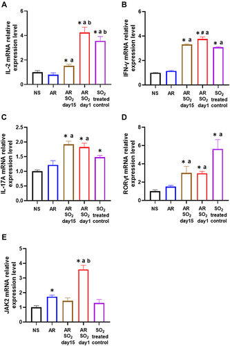 Figure 6 The mRNA expression levels of IL-2, IFN-γ, IL-17A, RORγt and JAK2 in nasal mucosa. (A) IL-2, (B) IFN-γ, (C) IL-17A, (D) RORγt and (E) JAK2 mRNA expression in nasal mucosa detected by quantitative PCR. The AR group was sensitized with HDM challenge. The AR-SO2-day15 group and AR-SO2-day1 group included HDM-sensitized mice exposed to SO2 beginning on day 15 and day 1, respectively. The NS group was challenged with normal saline instead of HDM. The SO2-treated control group was challenged with normal saline and exposed to SO2 beginning on day 1. The data are presented as the mean ± SEM. *p < 0.05 vs the NS group. #p < 0.05 vs the SO2-treated control group. ap < 0.05 vs the AR group. bp < 0.05 vs the AR-SO2-day15 group.