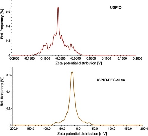 Figure 3 ζ-potential of ultrasmall superparamagnetic iron oxide (USPIO)–polyethylene glycol (PEG) and USPIO-PEG–Sialyl Lewis X (sLex).