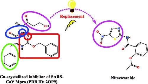 Figure 4. The replacement of the 3-hydroxy propanone moiety of the co-crystallized SARS-CoV Mpro inhibitor that interacts with His163, Cys145, or Phe140 with 5-nitrothiazole moiety which was extracted from the potent anti-SARS-CoV-2, nitazoxanide.
