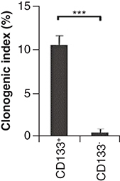 Figure 2. Cancer stem cell lines derived from tumors with poor prognosis were sorted for CD133 expression and plated with 10 cells/well.The number of spheres formed by CD133+ and CD133- cells after 14 days is given (clonogenic index: spheres per 100 cells plated).Reproduced with permission from [Citation58].