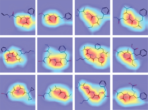 Figure 12. Visualizing the ROI of sweet molecule images with carbonyl and amino groups.