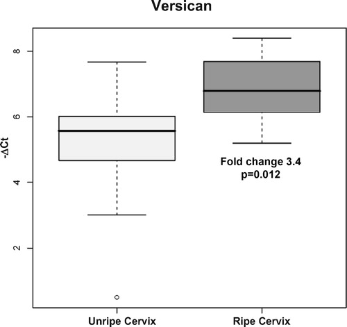 Figure 1.  Results of qRT-PCR assay of versican in cervical tissue in patients at term without labor: unripe cervix versus ripe cervix.