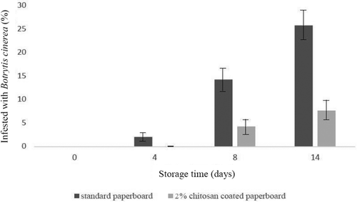 Figure 2. Percentage of infected redcurrants (Ribres rubrum L.) with Botrytis cinerea over the storage time (14 days) at +5°C.