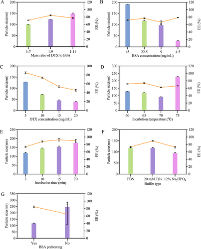 Figure 2 Effects of various factors on the particle size and EE of DTX-BSA-NPs. (A) the effect of mass ratio of DTX to BSA. (B) the effect of BSA concentration. (C) the effect of DTX concentration. (D) the effect of incubation temperature. (E) the effect of incubation time. (F) the effect of different buffer types. (G) the influence of preheating BSA. All data are presented as mean±SD (n = 3), with color bars indicating particle size and a line chart displaying EE.