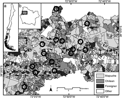 Figure 1. Location of the 15 focal landscapes in the study area. Inset maps show location in south-central Chile (a) and in Araucanía region (b). Each focal landscape is depicted by circles of 3.141 km2 each, and farms are classified according to different cultural groups (Mapuche, Chilean, Foreigner); “Other” category refers to any other type of property that does not account as an agricultural farm, e.g. forest plantation or natural conservation areas, school, etc. Coordinates according to WGS84.