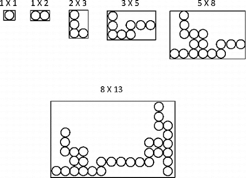 FIG. 4. Two-dimensional aggregates created by the Restricted Hierarchical Model.